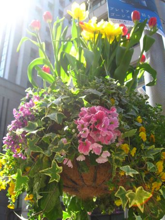 IMG_3067.jpg